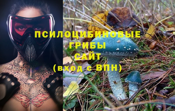 круглые Алексин