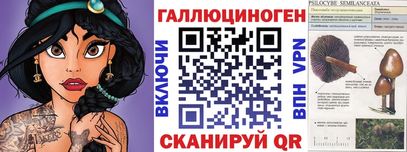 Псилоцибиновые грибы Psilocybe купить наркоту Ачинск